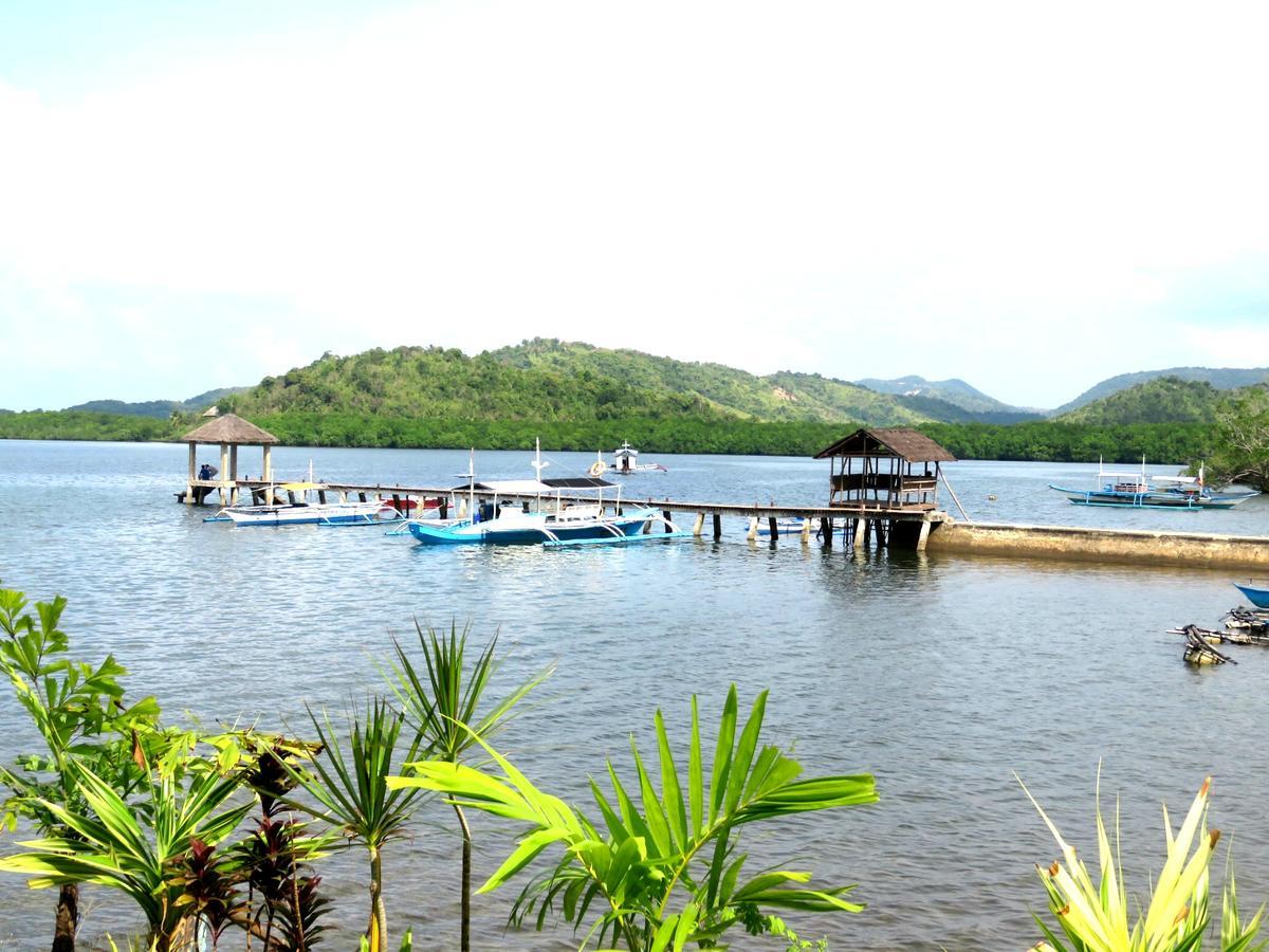 Bella Louise Lodging House Bar And Resto Busuanga Eksteriør bilde